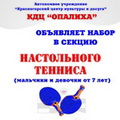 Секция настольного тенниса в КДЦ Опалиха г. Красногорска.