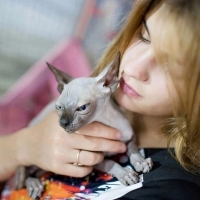 Выставка кошек редких и экзотических пород в ТРЦ «Июнь»