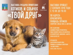 Дог-шоу и раздача приютских животных пройдут на площади Оптиков.